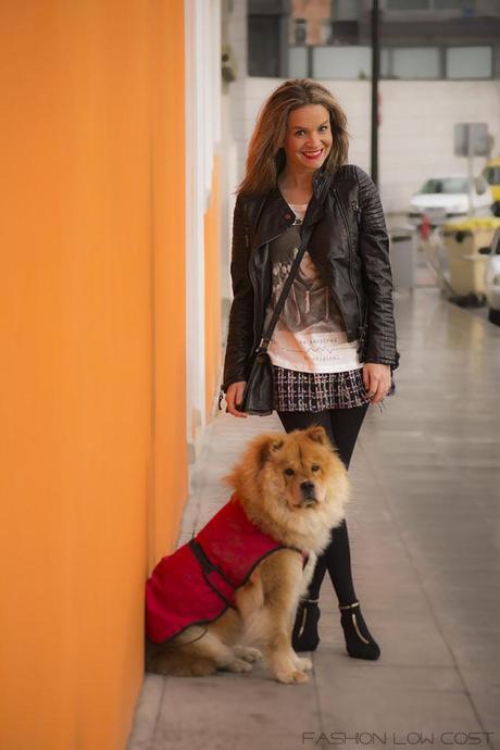 Outfit Low Cost: 30 Outfit Low Cost: 30