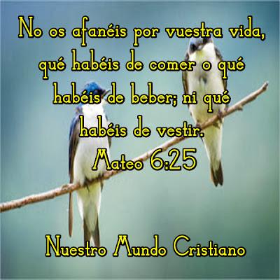 Comida en la despensa