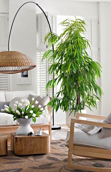 DECORACIÓN INTERIOR _  LA IMPORTANCIA DE LAS PLANTAS