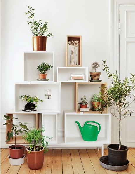 DECORACIÓN INTERIOR _  LA IMPORTANCIA DE LAS PLANTAS