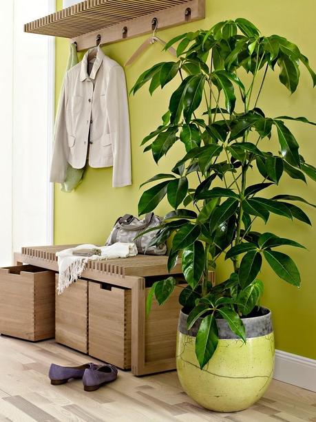 DECORACIÓN INTERIOR _  LA IMPORTANCIA DE LAS PLANTAS