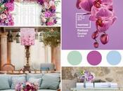 2014 viste Orquidea Radiante