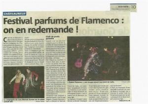 pasion flamenca 2