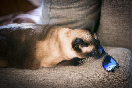  photo _F7A3256copia_zps48ca9845.jpg