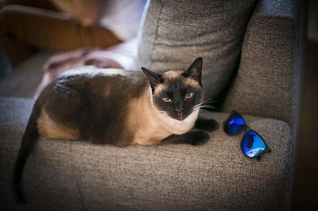  photo _F7A3259copia_zps574ddb2c.jpg