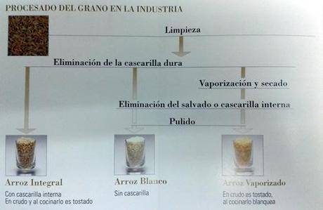 procesamiento arroz