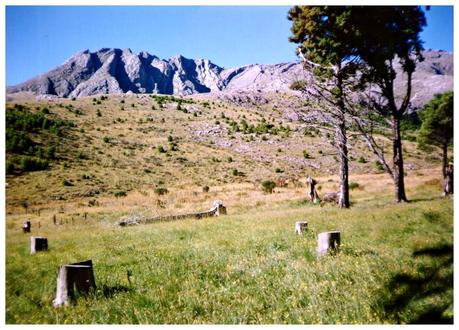 Con un libro en mis manos, leyendo y reflexionando.