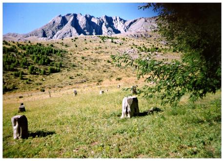 Con un libro en mis manos, leyendo y reflexionando.