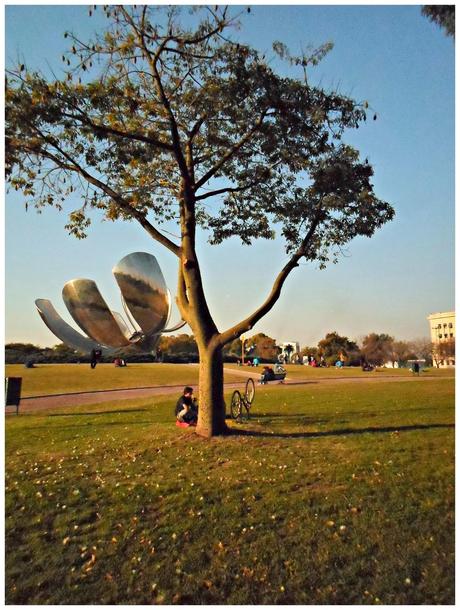 Floris Genérica: La flor de Buenos Aires.