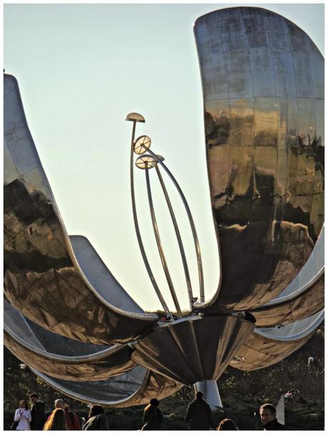 Floris Genérica: La flor de Buenos Aires.