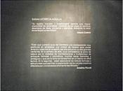 Centro Cultural Borges: Exposición Hondo. Lucrecia Agulla.