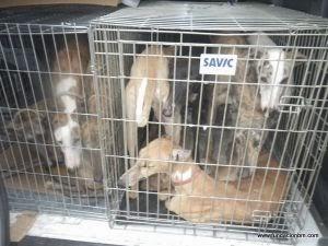 Un rescate, para algunos demasiado tarde...