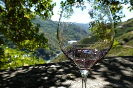 Viticultor de la Ribeira Sacra: En primera persona.