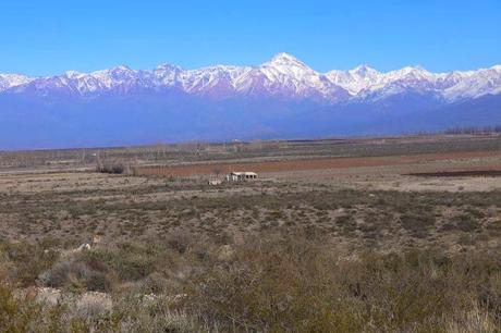 ZORZAL, Exóticamente mineral ZORZAL, Exóticamente mineral