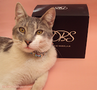 Kit de maquillaje DBS Kit de maquillaje DBS