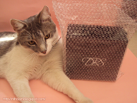 Kit de maquillaje DBS Kit de maquillaje DBS