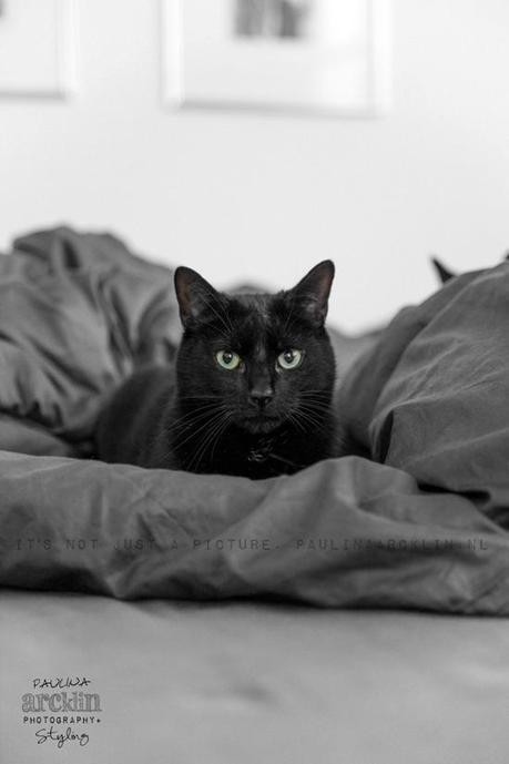 El loft de Renee El loft de Renee