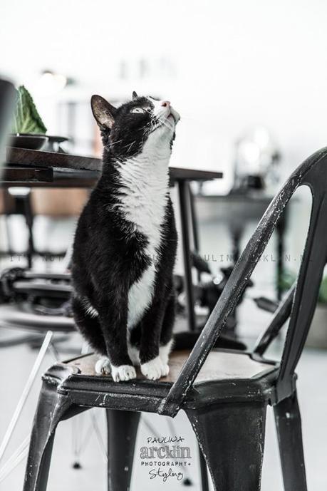 El loft de Renee El loft de Renee