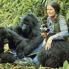 DIAN FOSSEY. LA AMIGA DE LOS GORILAS, HOY CUMPLIRÍA 82 AÑOS