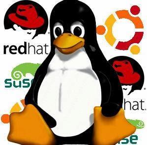 El gran momento de Linux y el Software Libre