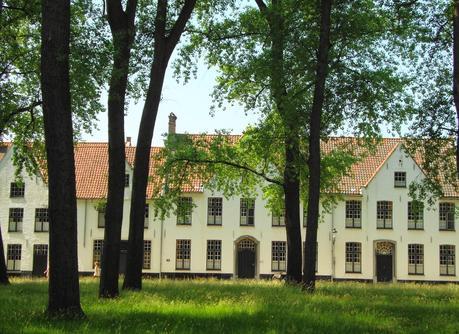 BRUJAS   UN    LUGAR    DE    ENSUEÑO