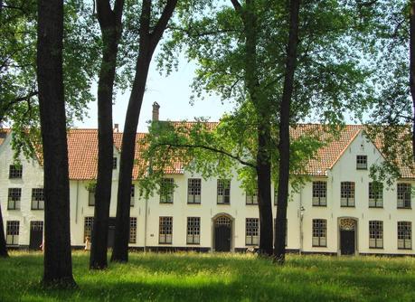 BRUJAS UN LUGAR DE ENSUEÑO BRUJAS UN LUGAR DE ENSUEÑO