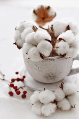 Flores de temporada: Invierno