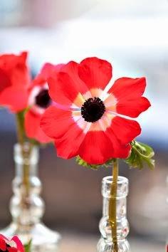 Flores de temporada: Invierno