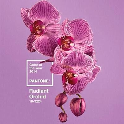 And the winner is.... RADIANT ORCHID