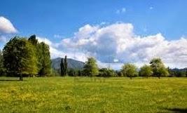 Un prado de recuerdos