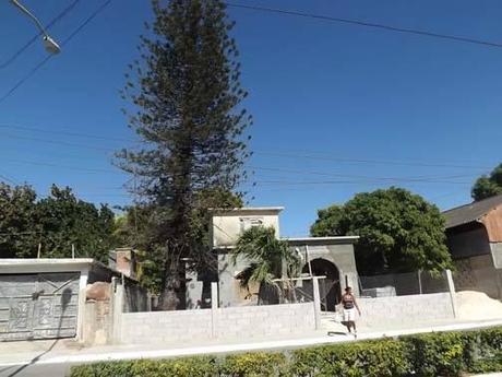 Las tristezas que la castro-revolución dejó...