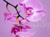 trend report... radiant orchid color
