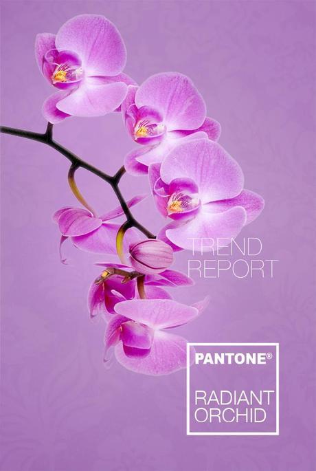 trend report barbara crespo trends tendencias radiant orchid color purple fashion blogger