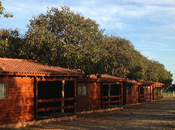 boda consideraciones preliminares