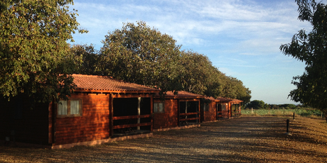 Vinyols Camp Casas Madera