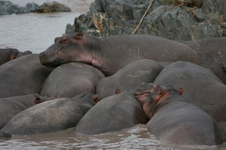 De viaje a Tanzania...