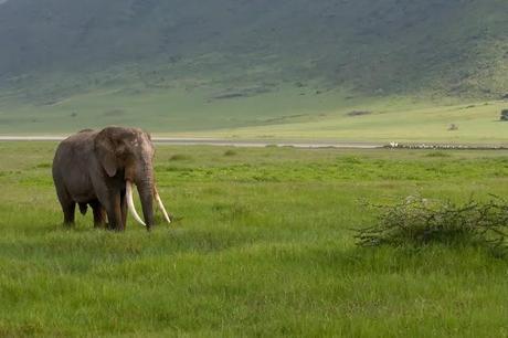 De viaje a Tanzania...