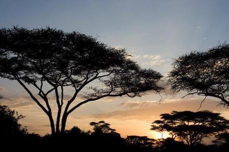 De viaje a Tanzania...