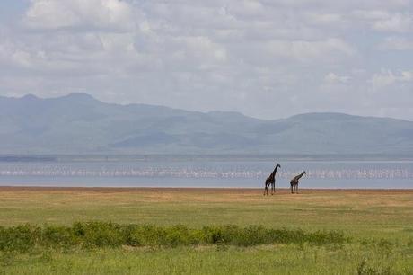 De viaje a Tanzania...