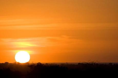 De viaje a Tanzania...