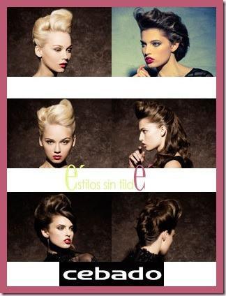 cebado txt thumb Dress Code de los recogidos