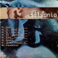 SILVANIA - DELAY TAMBOR