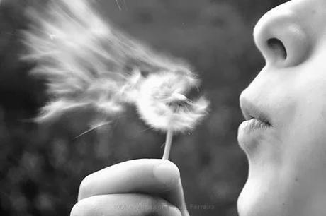 LO QUE NO SE COMPRA CON DINERO PERO CUESTA MUCHO...