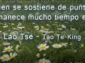 tenemos bases solidas seremos fuertes cualquier lucha