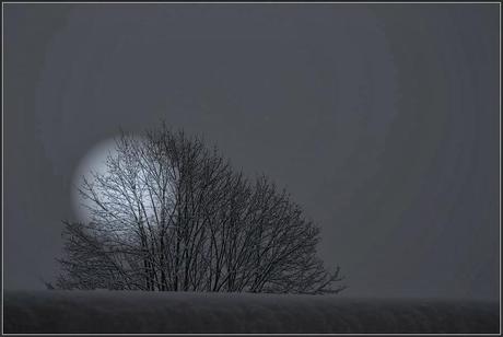 CARLOS ENRIQUE CARTOLANO EN LA NOCHE EN BLANCO DE GRANADA