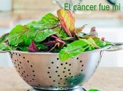 cáncer despertar: PLAN DIETA