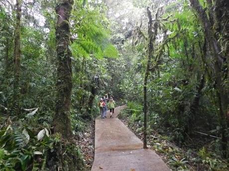 Qué visitar en Monteverde, la joya de bosque nublado en Costa Rica