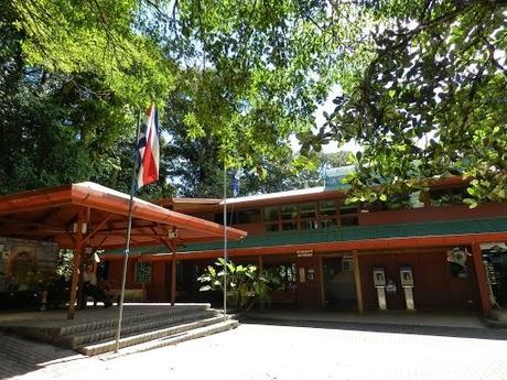 Qué visitar en Monteverde, la joya de bosque nublado en Costa Rica