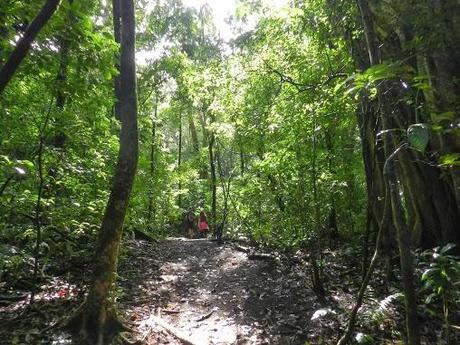 Qué visitar en Monteverde, la joya de bosque nublado en Costa Rica