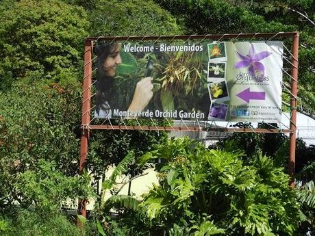 Qué visitar en Monteverde, la joya de bosque nublado en Costa Rica